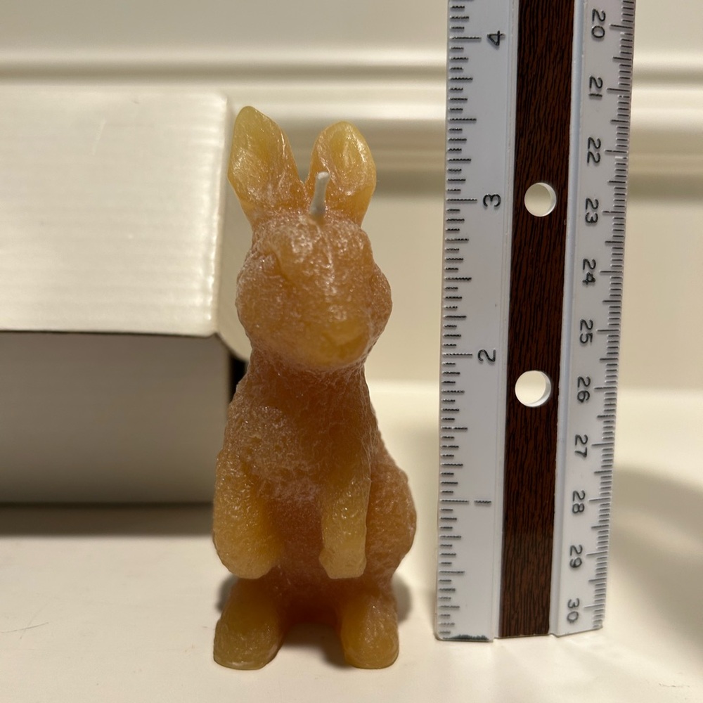 Illuminations Honey Bunny Candle Set - Picture 11 of 13